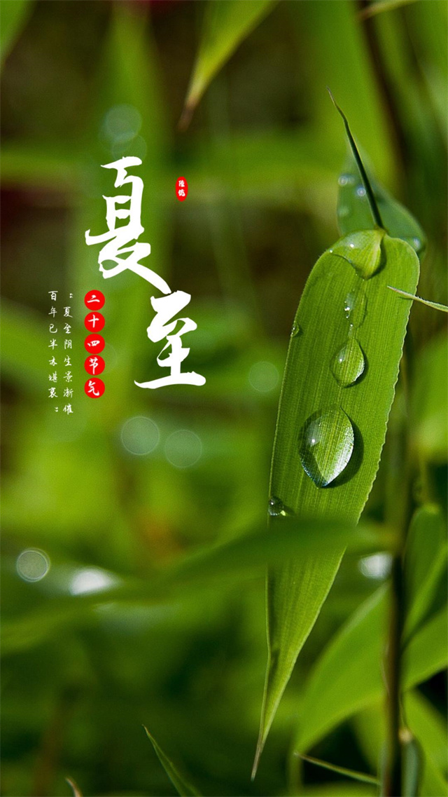 夏至時節話“尚語”：專業翻譯助力全球交流
