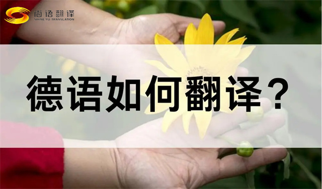 德語如何翻譯？如何選擇合適的德語翻譯公司？尚語翻譯德語翻譯的優(yōu)勢